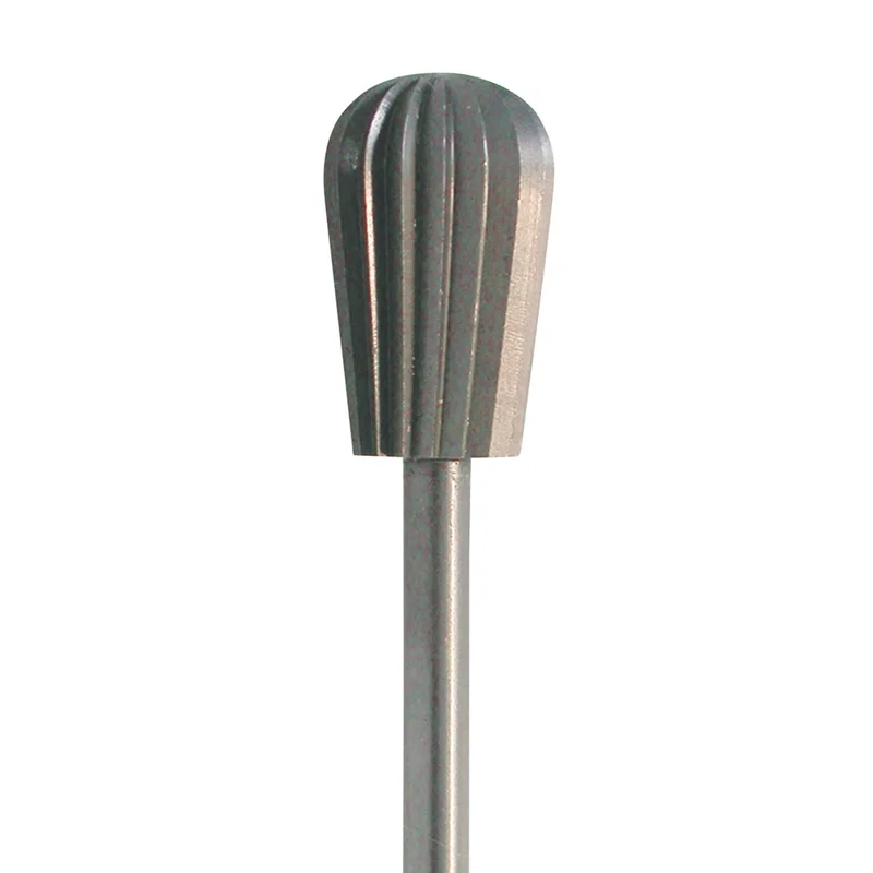 denta-tec-1202607122145011018065
