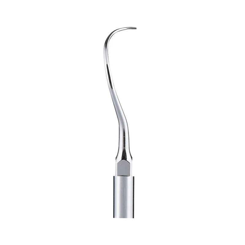 denta-tec-1202607122221091022291