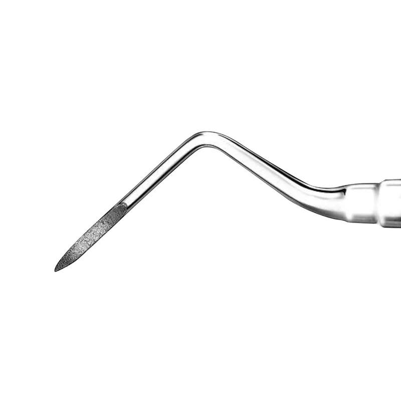 denta-tec-1202607130133421042459