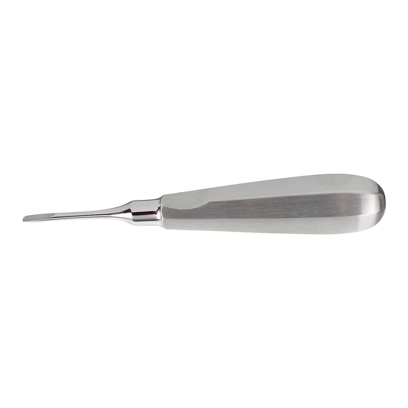denta-tec-1202607130221321046009