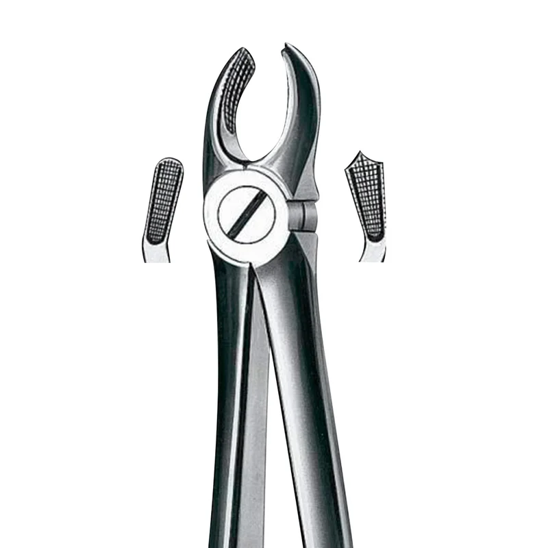 denta-tec-1202607130231321046675