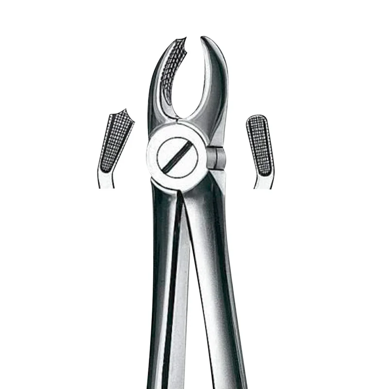 denta-tec-220260710185049662982