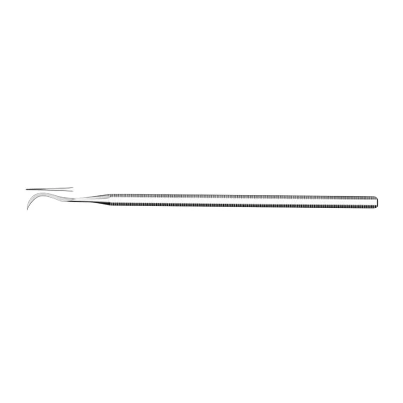 denta-tec-220260710200204677649