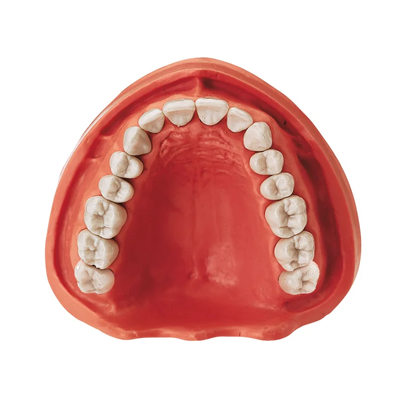 denta-tec-220260710201250679756