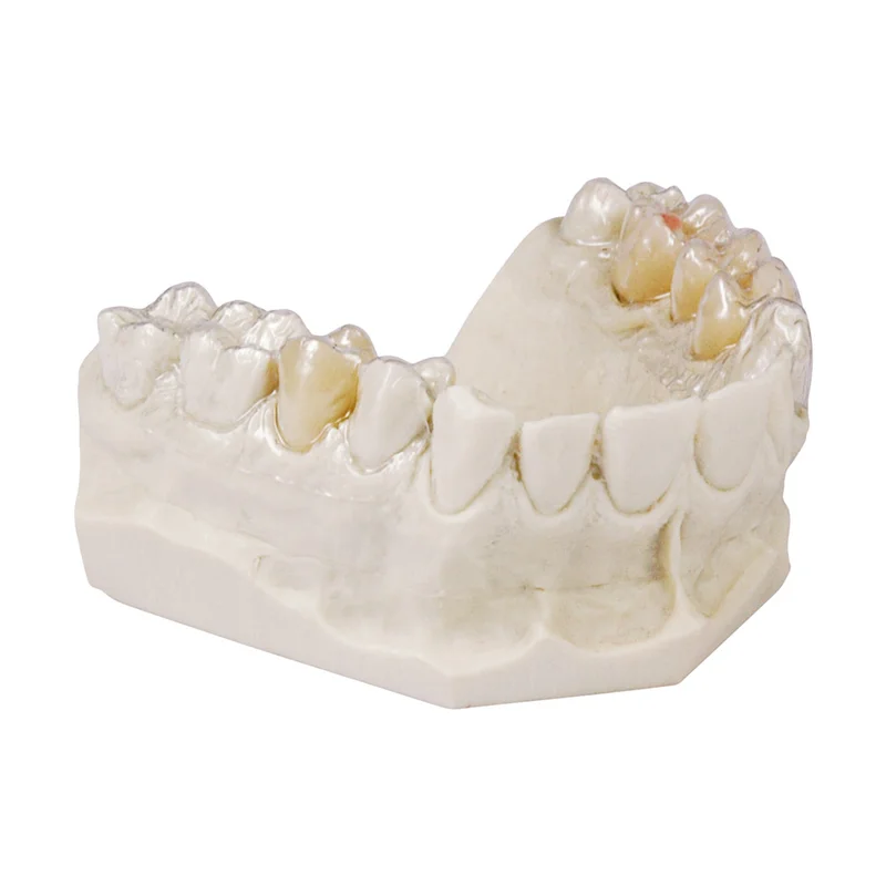 denta-tec-220260710205527687655