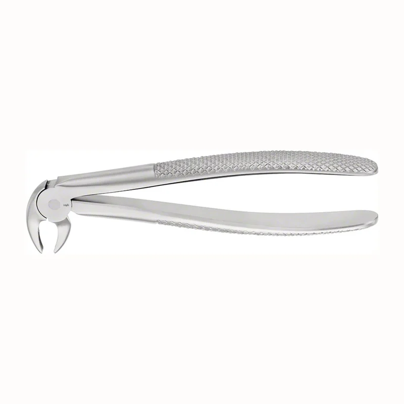 denta-tec-220260710224947707155