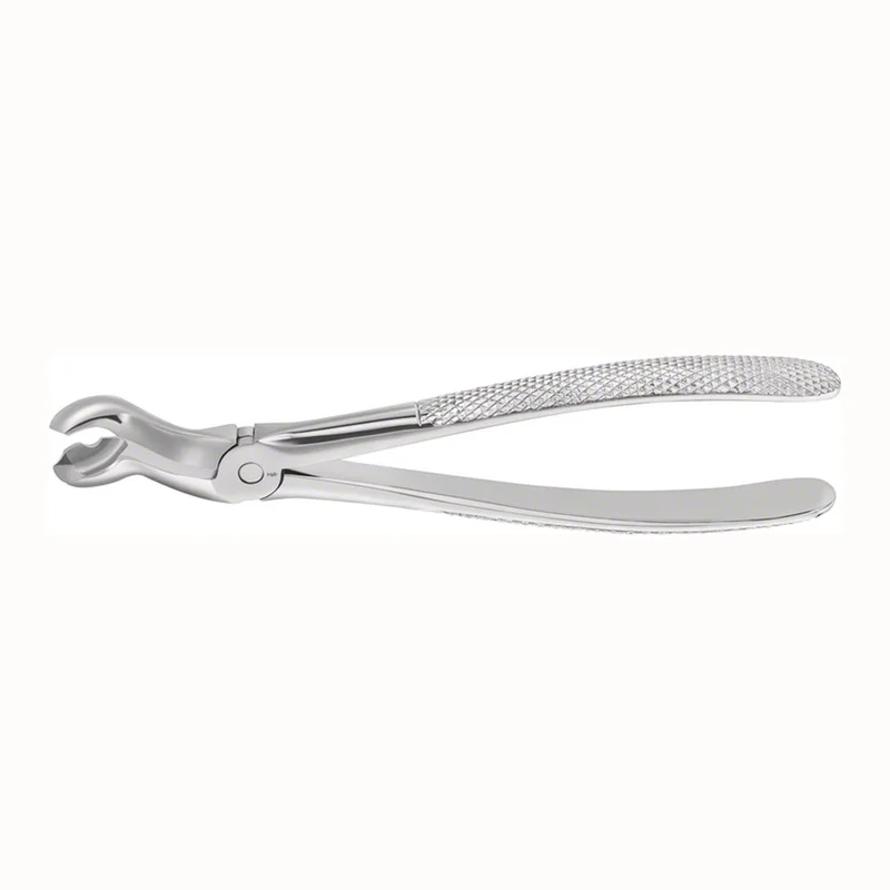 denta-tec-220260710225005707216