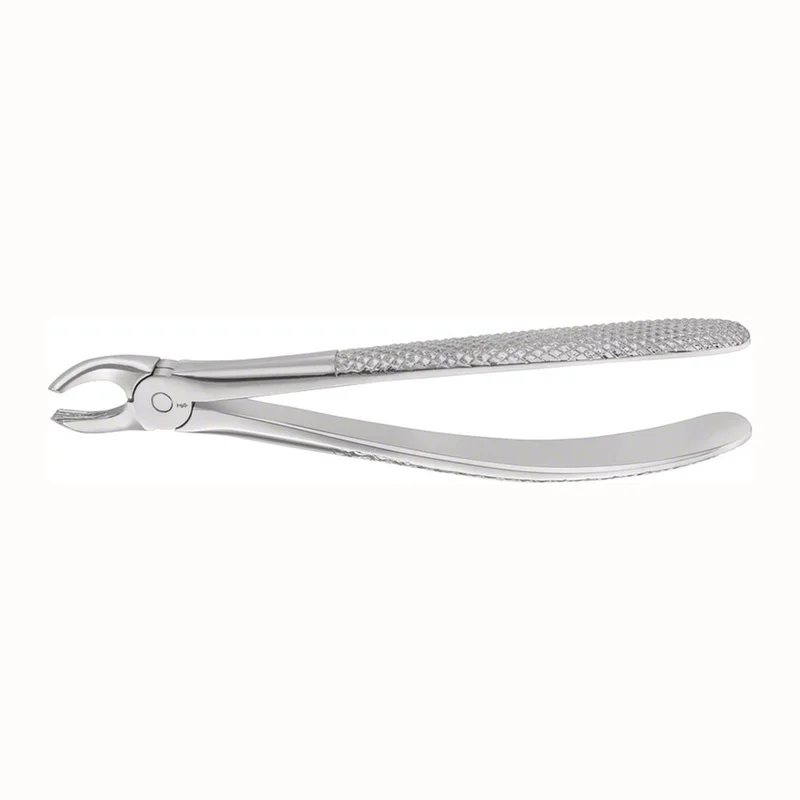 denta-tec-220260710225013707238