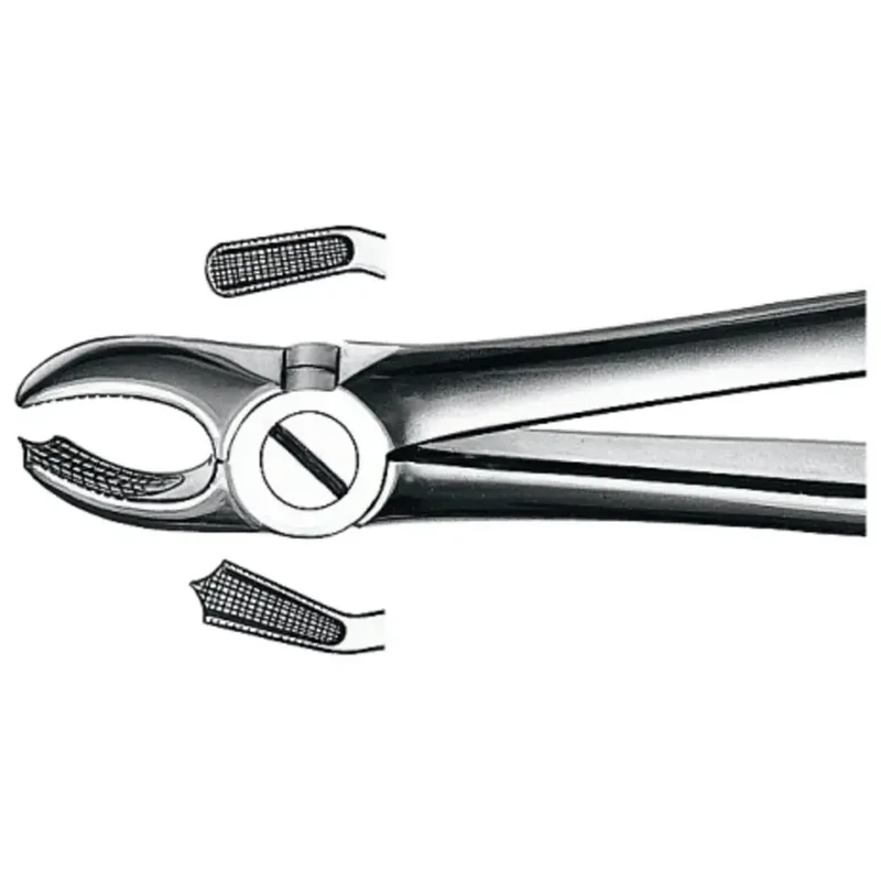 denta-tec-220260711014727737734