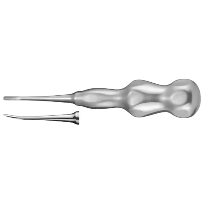 denta-tec-220260711020145739772