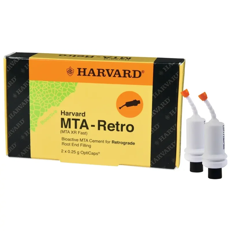 denta-tec-220260711020449740216