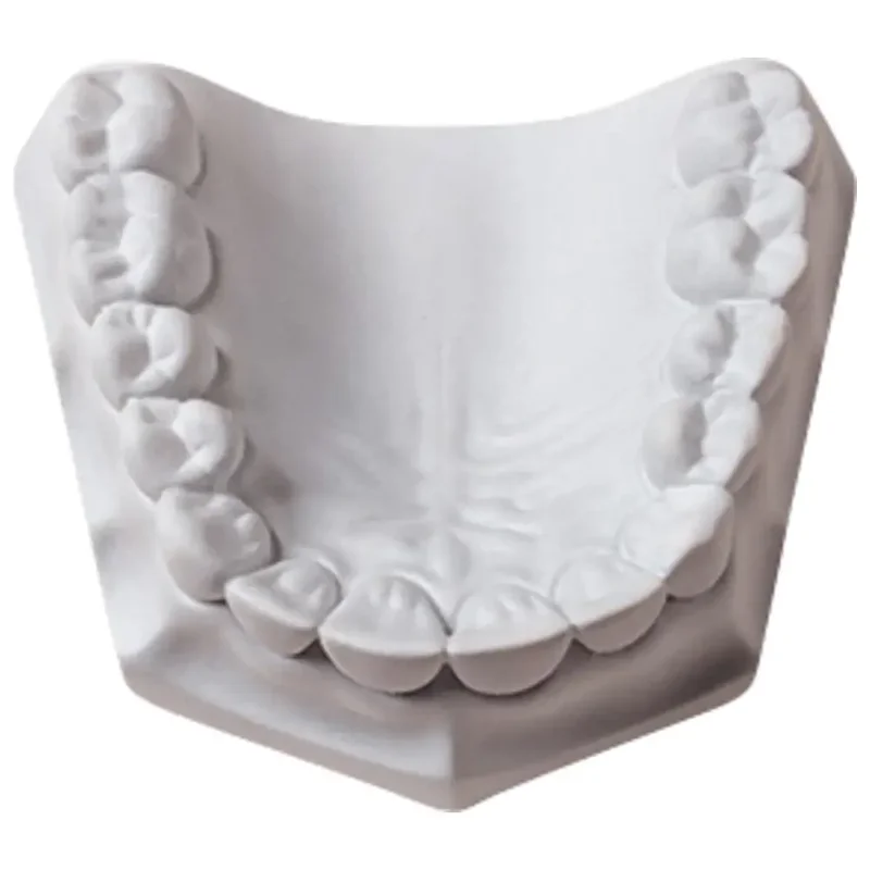 denta-tec-220260711020545740348