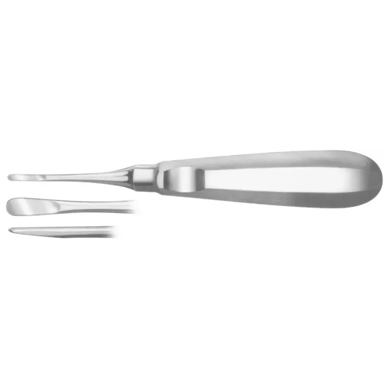 denta-tec-220260711021058741061