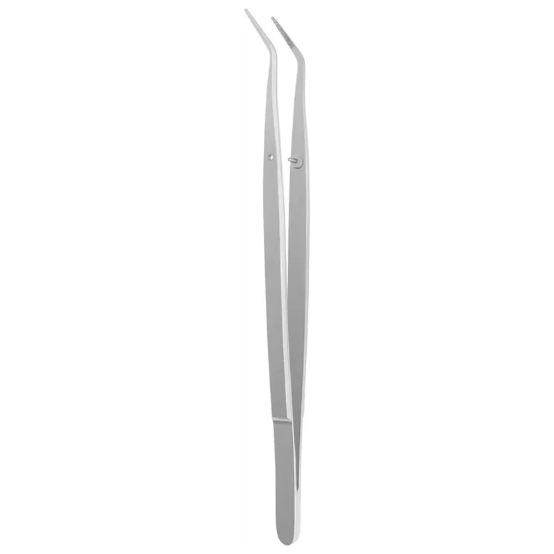denta-tec-220260711035454752473