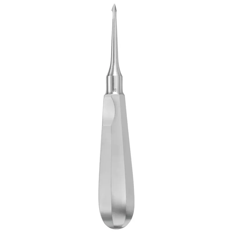 denta-tec-220260711045406762884