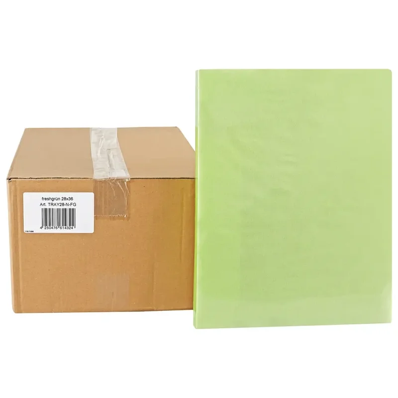 denta-tec-220260711050639764762