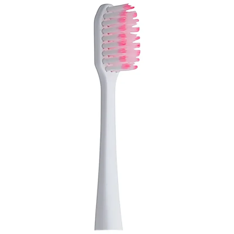 denta-tec-220260711050913765151