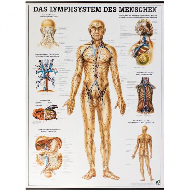 doccheckshop20260710161252633875