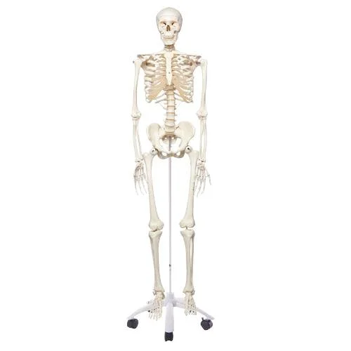 doccheckshop20260710175900650824
