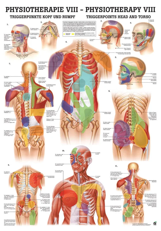 doccheckshop20260710180111651300