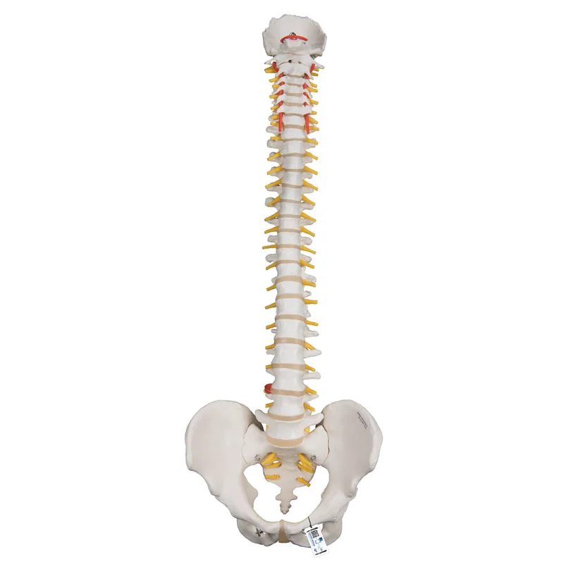 doccheckshop20260710181023653416