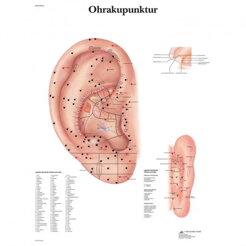 doccheckshop20260710181813655188