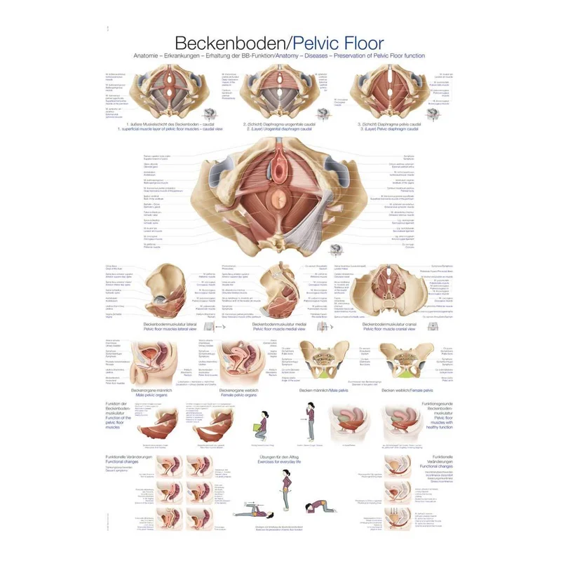 doccheckshop20260710183009657933