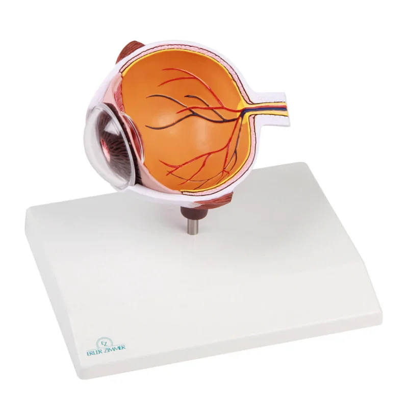 doccheckshop20260710184829662406