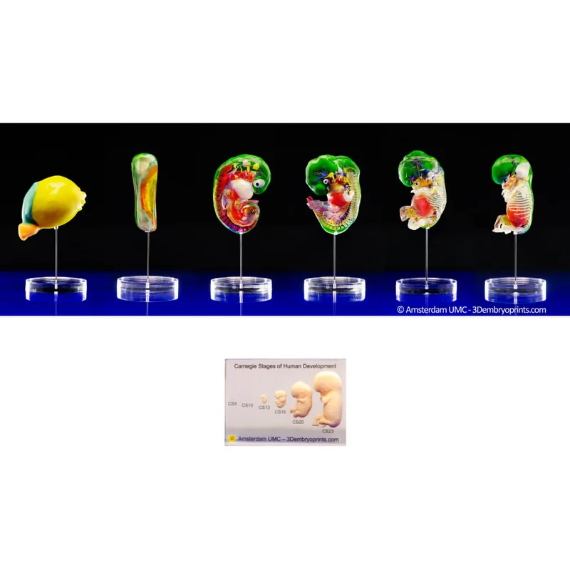 doccheckshop20260710191145667941
