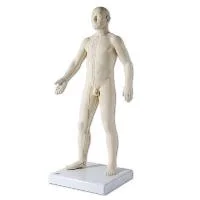 henryschein-med20260710194130673560