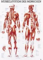 henryschein-med20260710195528676306