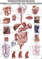 henryschein-med20260710195620676485