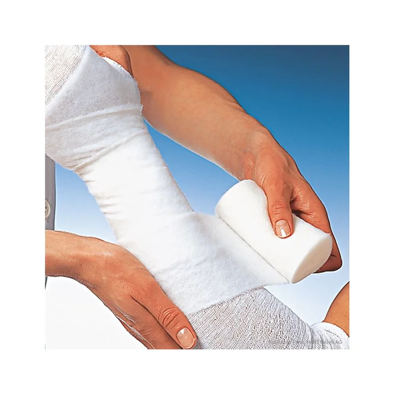 hygiene10020260711022726743494