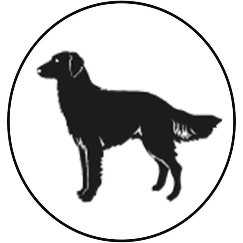 jasado-120260711075804788493